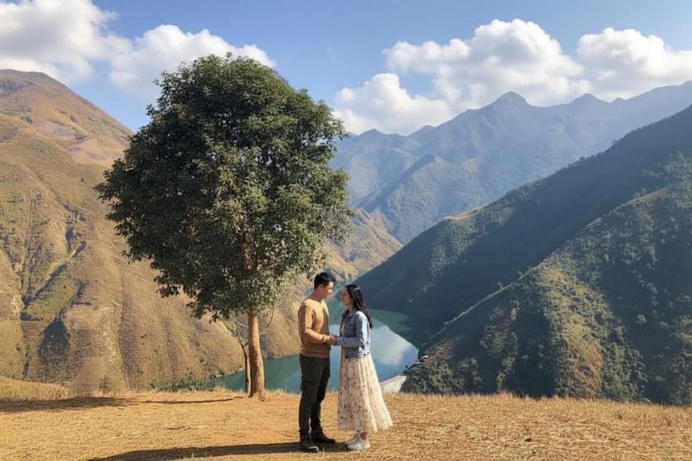 Chuyện tình lãng mạn cạnh cây Cô Đơn